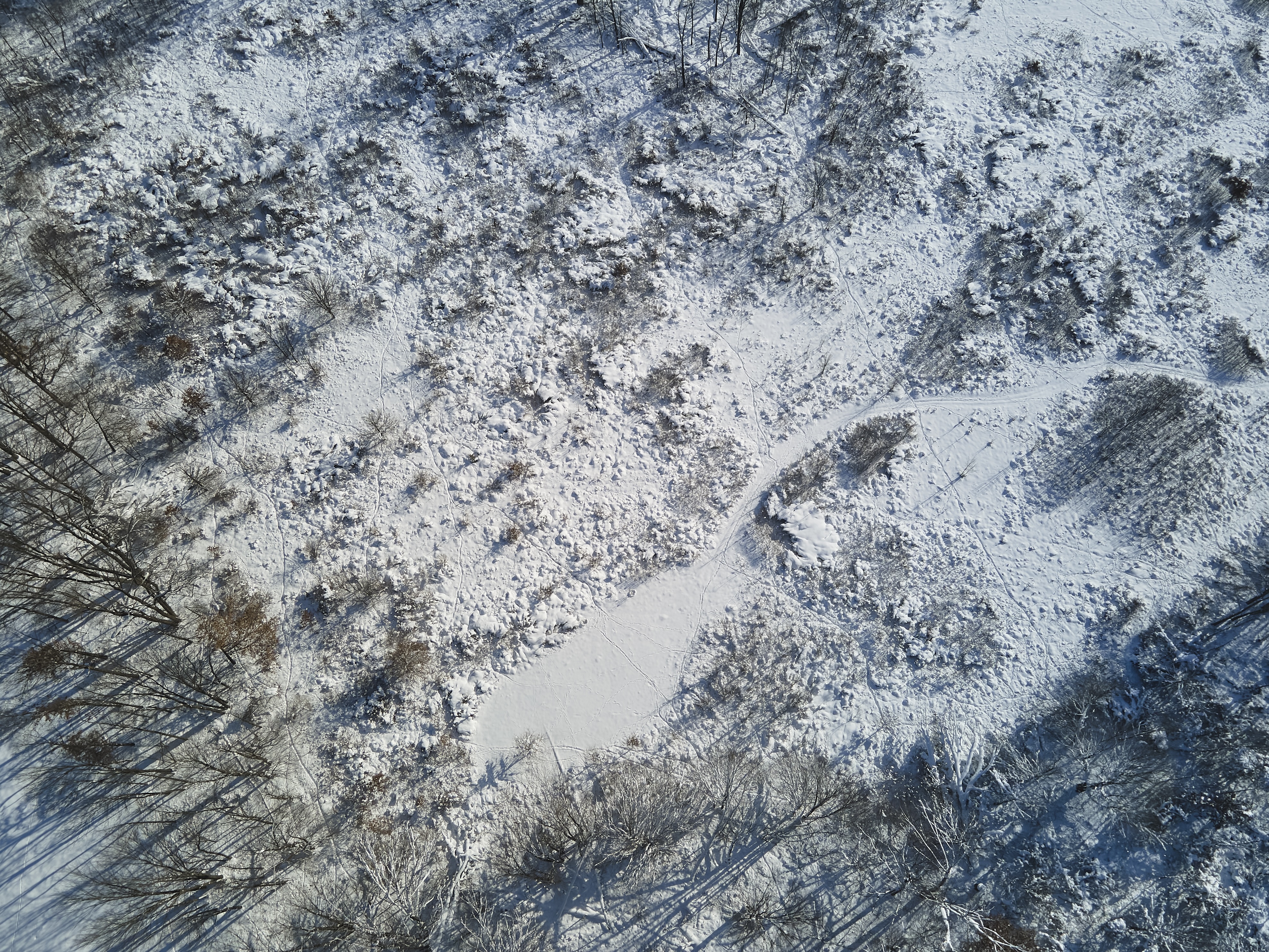 Aerial view of snow on the ground, Theresa Vail Alaska concept. 
